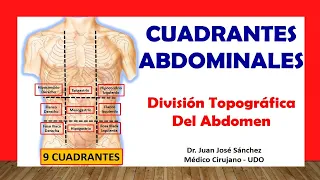 🥇 DIVISIÓN TOPOGRÁFICA DEL ABDOMEN, (Cuadrantes Abdominales). Fácil y Sencillo