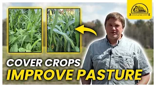 How to Improve Pasture Land: Cover Crops and Regenerative Farming