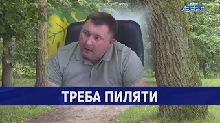 Апетит приходить під час їди: у Ківерцях взялися обговорювати реконструкцію парку