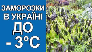 Погода в Україні на тиждень: Погода на 6 - 11 вересня 2022