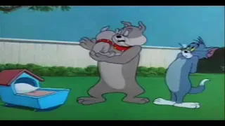 Tom and Jerry - Hic cup Pup - Ep82 - 1954 - 3 minutes