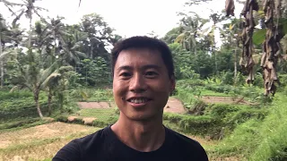 On my wife’s family farm on Bali livestream