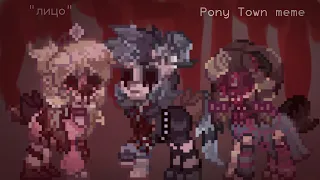 Лицо- Созвездие отрезок.|| Pony Town meme