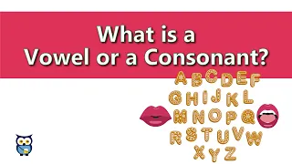 What is a Vowel or a Consonant?