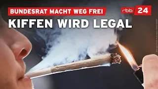 Bundesrat macht Weg für Cannabis-Teillegalisierung frei