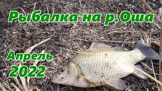 Рыбалка на реке Оша. Открываем летний сезон 2022.