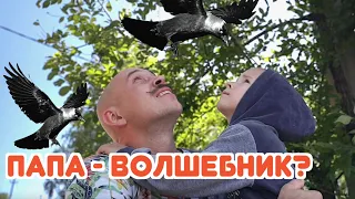 Как еще похвалить папу?😆 Что умеет папа? Новые вайны • Смешные дети, лучшие приколы, юмор и скетчи!