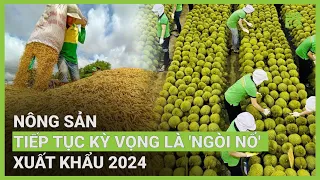 Năm 2024: Nông sản tỉ USD có tiếp tục bứt tốc? | VTC16