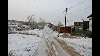 Алабай напал на школьницу в Улан-Удэ