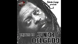 Tribute to Junior Delgado mixed by Selecta Leevup