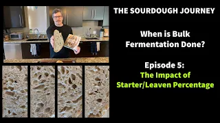When is Bulk Fermentation Done?: Episode 5 - “Impact of Starter/Leaven Percentages”