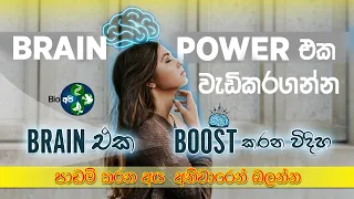 Brain Power එක වැඩිකරගන්න Study Tips - Brain Boost Exercises Sinhala - Memory Focus & Concentration