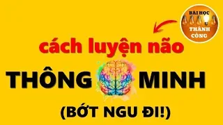 Cách Luyện Não Thông Minh Hơn Mỗi Ngày (BỚT NGU ĐI!)