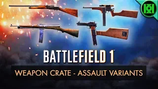 Battlefield 1: NEW ASSAULT VARIANTS REVIEW (Weapon Guide) | BF1 Weapons Crate Update | BF1 Gameplay