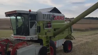 🔥żniwa rzepaku ale u nas🔥Claas dominator 98