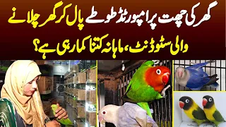Ghar Ki Roof Par Imported Parrots Pal K Ghar Chalane Wali Student - Monthly Kitni Earning Karti Ha?