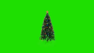 3D christmas tree green screen video