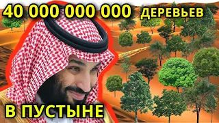 Зачем шейху МИЛЛИАРДЫ деревьев? Посмотрите это, прежде чем сажать дерево / Искусственный лес