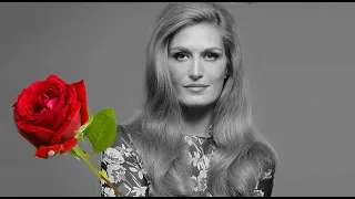 La rose que j'aimais Dalida / 1971 / Dalida Officiel