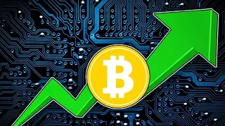 Биткоин вернется к отметке в $20 000 | Инвесторы накапливают Bitcoin в ожидании роста