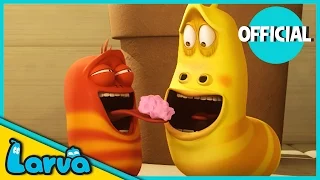 LARVA - BUBBLEGUM | 2017 Full Movie Cartoon | Cartoons | Comics | LARVA Official