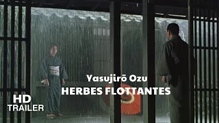 Herbes flottantes 4K (1959) Bande-annonce | De Yasujirô Ozu