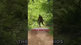 Rock Apes of Vietnam Cryptid Encounters