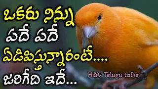 jeevitha sathyalu#190| manchi matalu| inspiring quotes| motivational quotes| life changing quotes