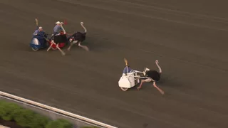 June 18, 2016 - Ostrich Derby