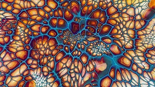 335. AMAZING Fluid Art SheleeArt Bloom Hack! / bloom recipe / big cells