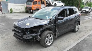 жирный Ford Escape SE на доп опциях (часть 1)