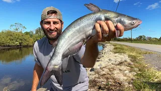 Eating What I Catch in a ROADSIDE DITCH (CATCH AND COOK)