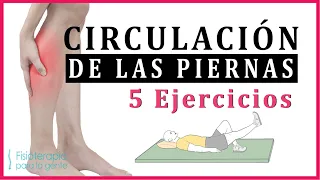 💛Top 5 Exercises to Increase Circulation in Legs 💛