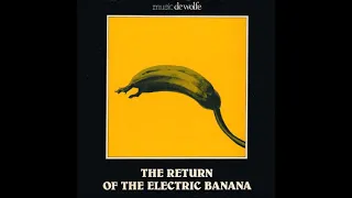 Whisky Song - The Electric Banana