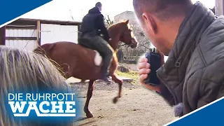 Krasse Verfolgung im Fall "Emma": Polizist jagt Verdächtige mit Pferd! | Die Ruhrpottwache | SAT.1