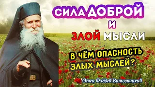 Сила ДОБРОЙ и ЗЛОЙ мысли. Почему опасны злые мысли? Что может энергия гнева? Отец Фаддей Витовницкий