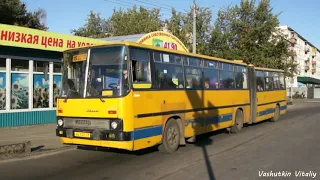 Автобусы Ikarus в Северодвинске