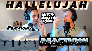 Pentatonix - Hallelujah (Leonard Cohen/Jeff Buckley cover) FIRST REACTION! (MITCH-SLAPPED AGAIN!)