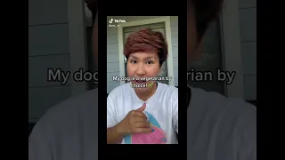 Compilation of memes I found on tiktok pt.29 #shorts