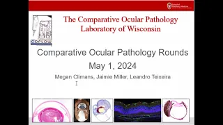 COPLOW Ocular Pathology Rounds May 1, 2024