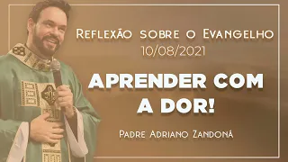 Sofrimento redentor | 10/08/2021 | Jo 12,24-26 | Padre Adriano Zandoná