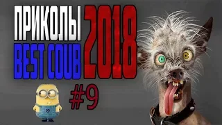 #ПРИКОЛЫ за Апрель 2018 | BEST COUB 2018 ▶ 9