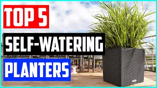 Best Self Watering Planters in 2021   Top 5 picks!