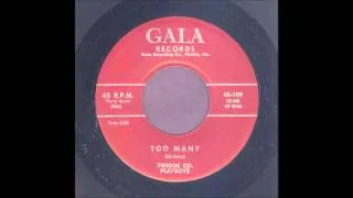 The Twiggs Co. Playboys - Too Many - Hillbilly 45