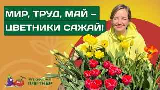 ПЛАН ВЫСАДКИ ЦВЕТНИКОВ НА МАЙ