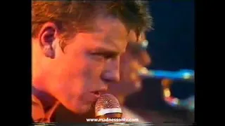 Madness - Embarrassment (Live on Dutch TV) 18/10/80