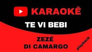 KARAOKE - ZEZÉ DI CAMARGO - TE VI BEBI