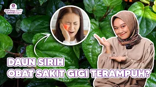 OBAT SAKIT GIGI DARI DAUN SIRIH! SEMANJUR APA?