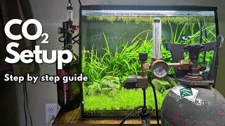 A Step by Step Guide to Setting Up CO2 in Your Planted Aquarium