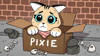 The Past of Pixie... (Comic Movie)